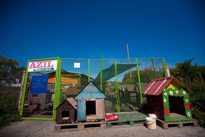 Animal Shelter in Osijek